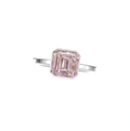 Kite Bezel